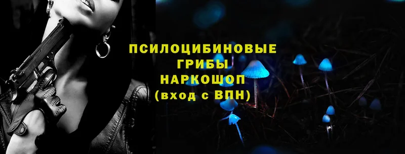 Псилоцибиновые грибы ЛСД  продажа наркотиков  Россошь 